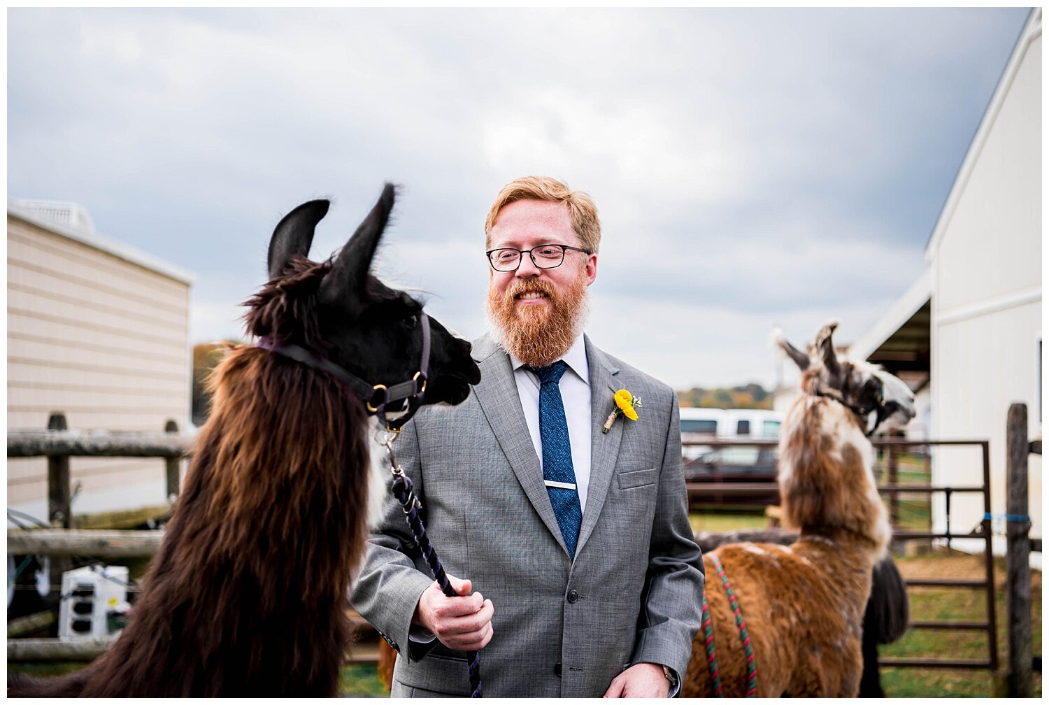 LlamaFarmWedding_1181.jpg