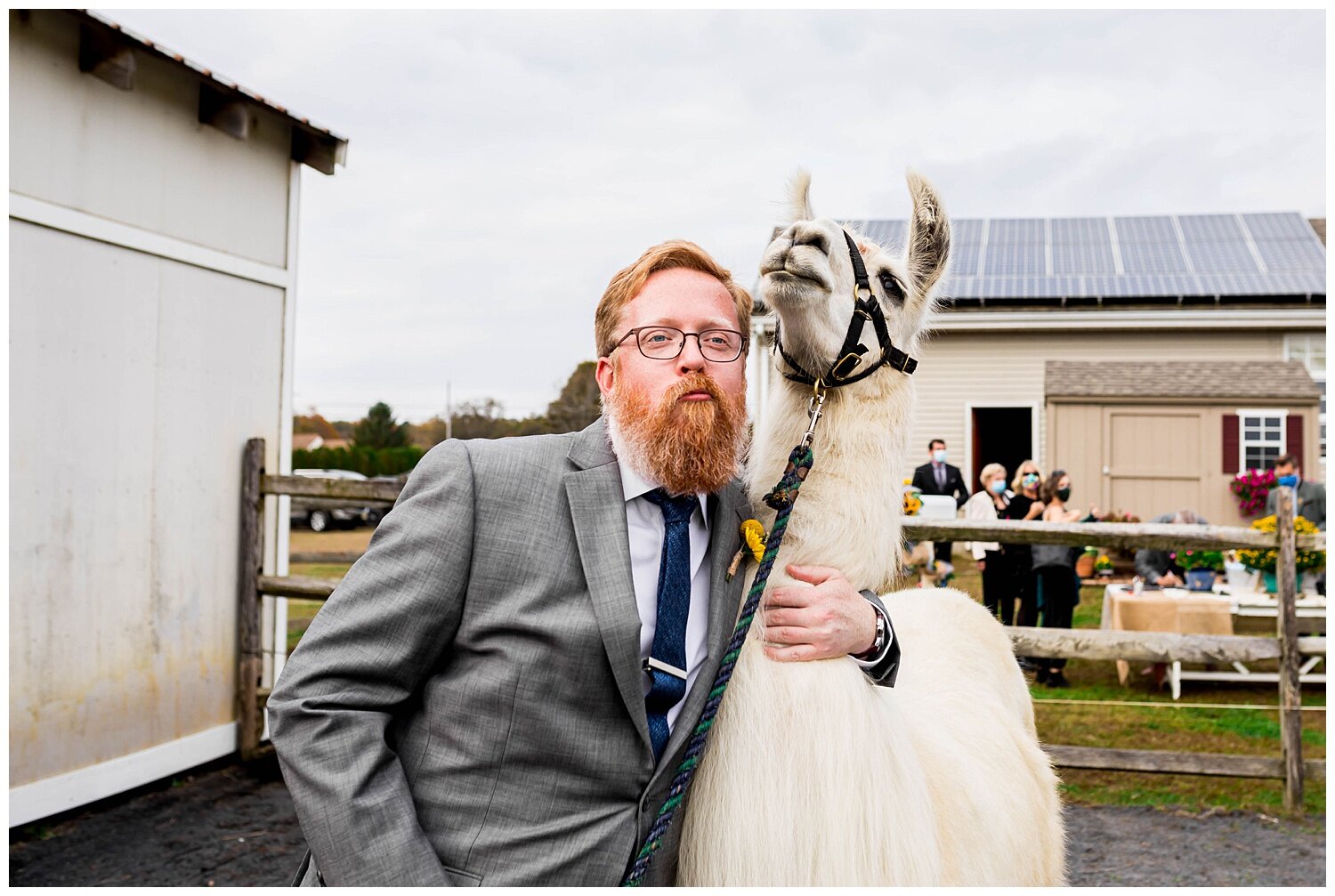 LlamaFarmWedding_1198.jpg