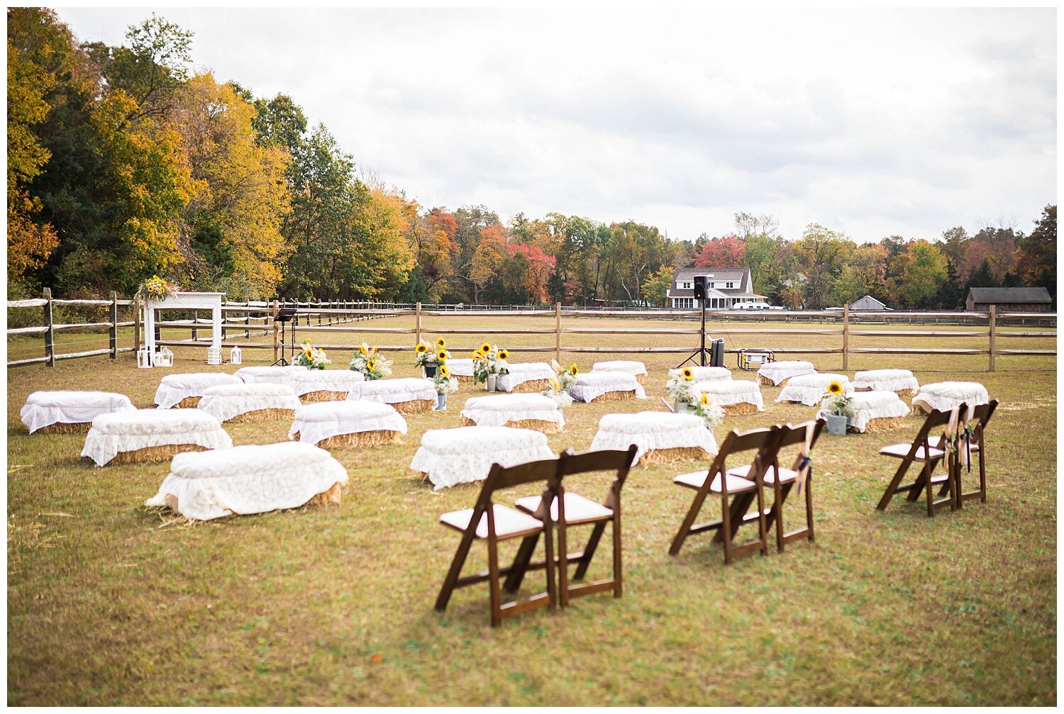 LlamaFarmWedding_1228.jpg