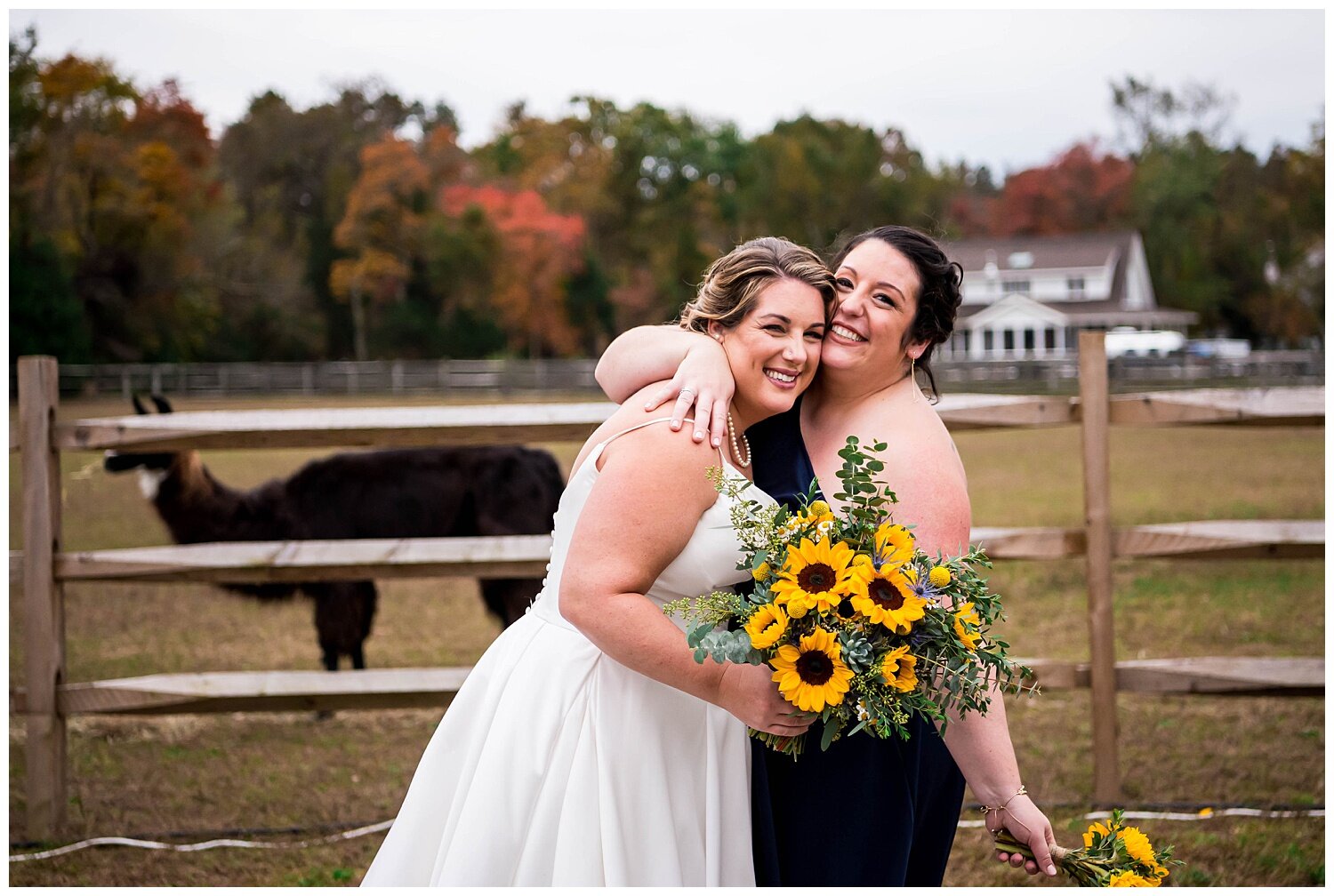 LlamaFarmWedding_1261.jpg