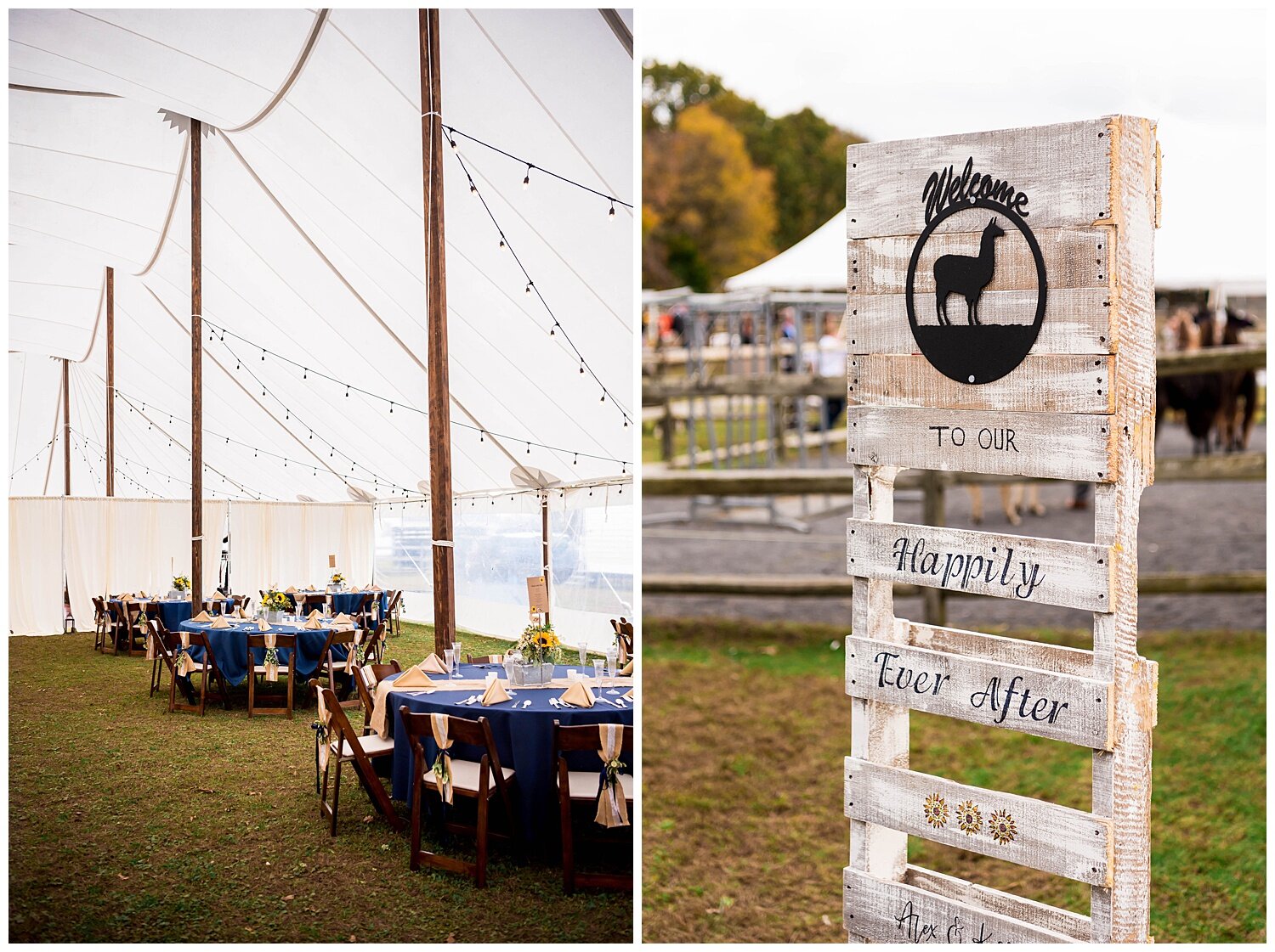 LlamaFarmWedding_1264.jpg